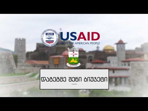 დაგეგმე შენი ბიუჯეტი (R)