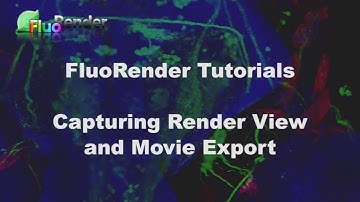 FluoRender Tutorial Series: Capturing Render View and Movie Export