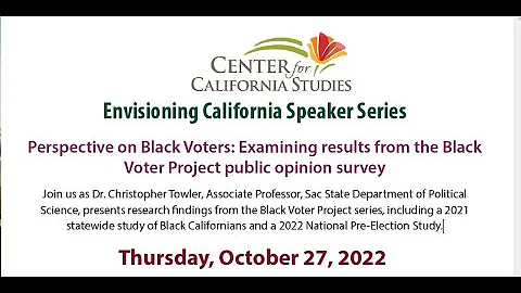 Perspective on Black Voters: Examining results from the BlackVoter Project public opinion survey
