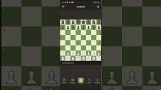 How to use the chess.com engine without data connection