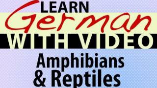 Learn German with Video - Amphibians and Reptiles