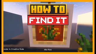WHERE TO FIND RICE IN MINECRAFT WITH THE FARMER'S DELIGHT MOD