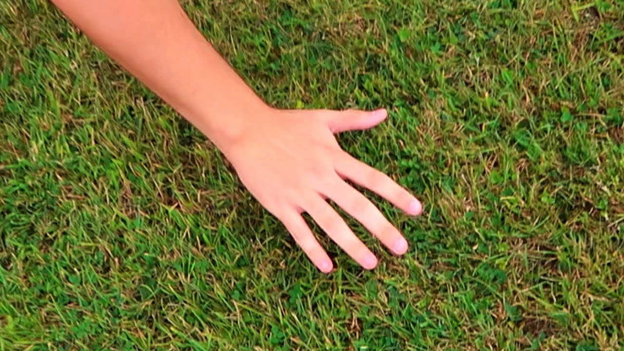 Touching grass: what it means and how to do it