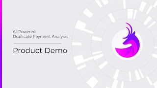 AI-Powered Duplicate Payment Analysis | Product Demo