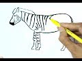 How to draw  a zebra  in easy steps, step by step for beginners