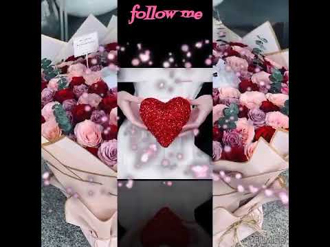 باين حبيت وانت معايا عمرو دياب بدون موسيقى بدون موسيقى عيد 