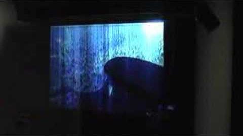 Deterritorialised Disappearance