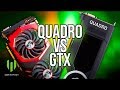 La verdad Sobre Nvidia QUADRO | ft. MSI Workstation