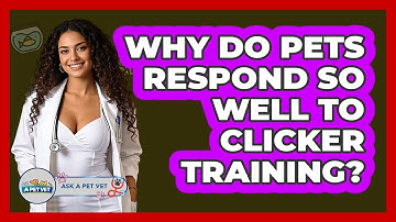 Why Do Pets Respond So Well To Clicker Training? - Ask A Pet Vet
