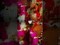 Short video #shortvideo #status