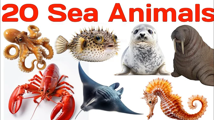 20 Sea Animals for Kids | Learn Ocean Animal Names in English with Sounds and Pictures Marine | Life