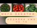 ОПОЗОРИЛАСЬ КАК ХОЗЯЙКА! НЕУМЕЮ ДЕЛАТЬ ЗАСОЛЫ И НЕ СТЕСНЯЮСЬ ЭТОГО