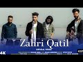 Zahri qatil  shakir baba  shakir vlogs 07  new song
