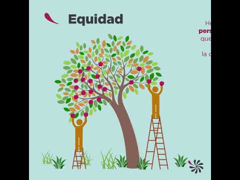 Una reflexión sobre