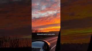 İmam Şafiiye Sormuşlar. Sizce De Bu Ölçü Hâlâ Geçerli Mi? Şalım