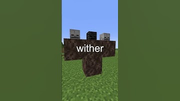 The Secret Behind The Nether Fossil