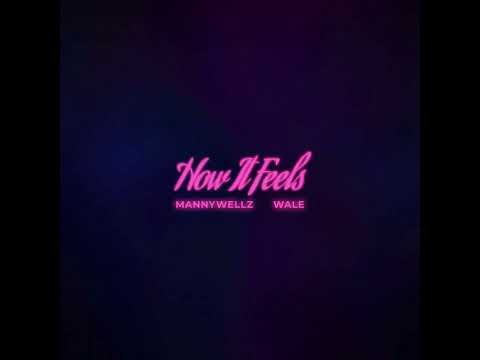 Mannywellz - How It Feels (Feat. Wale) (Clean)