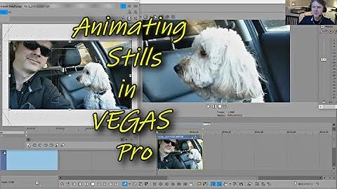 Animating Stills Pictures on Vegas Pro (ver. 17 in this case)