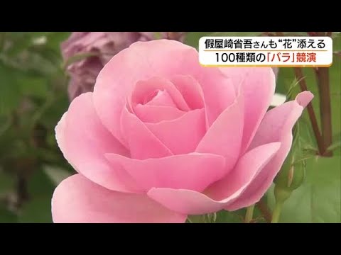 Spectacular! 100 Varieties of Roses Compete in a Japanese Garden