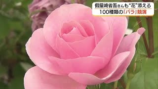 Spectacular! 100 Varieties of Roses Compete in a Japanese Garden