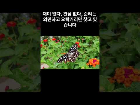 돈과 힘이 좋은 것입니다. #돈 #힘 그런데 왜 돈과 힘을 좋아하지 않지?
