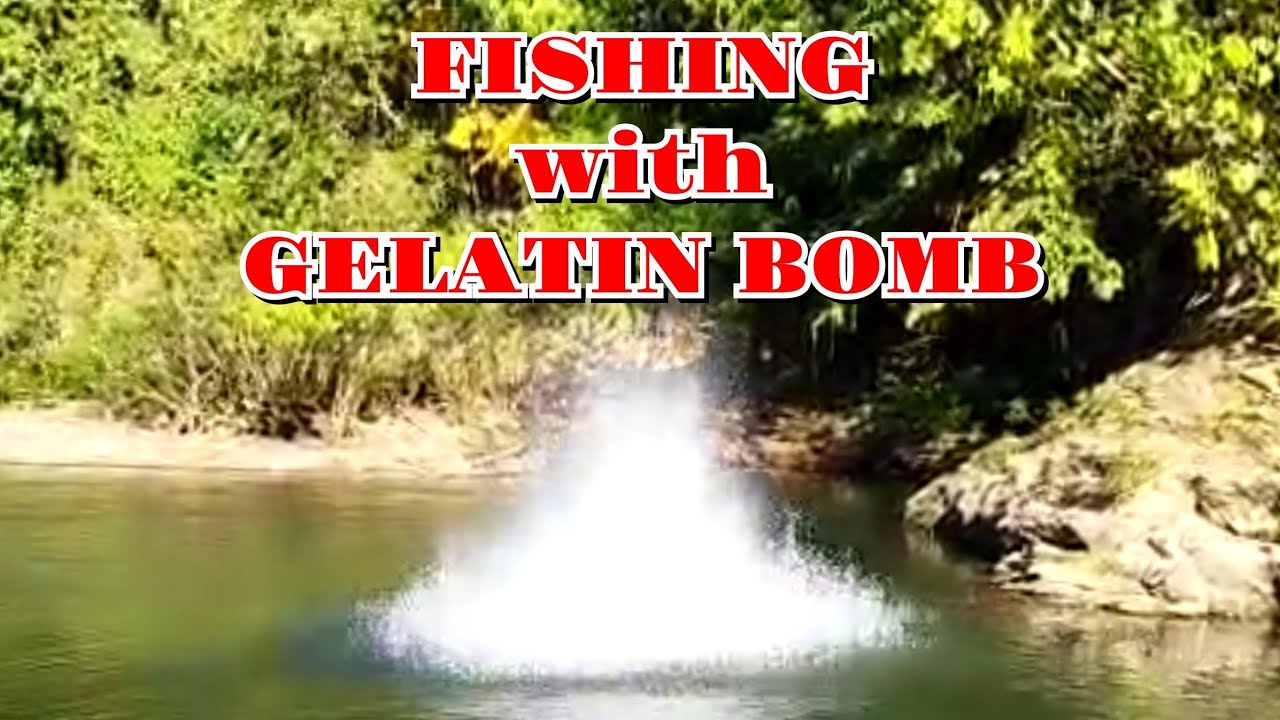 Fishing with Gelatin bomb YouTube