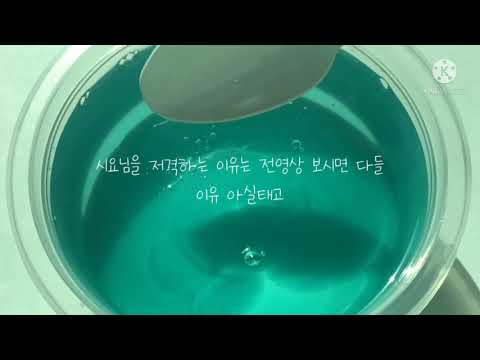 시요님 저격