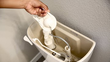 Pro Tip: How to replace a toilet flapper valve