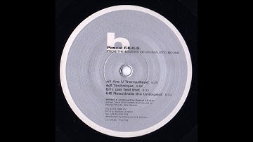 Pascal F.E.O.S. - Technique (A2) [PVLP03]