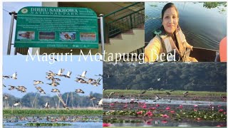Maguri Motapung Beel // Wetland &Bird Sanctuary // Dibru Shaikhwa National park 