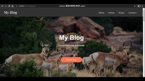 The Intern Academy 50` Summer Internship  Program Task || Web Development Task - Blogging Website