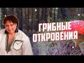 ГРИБНЫЕ ОТКРОВЕНИЯ. Тайна Чаши Грааля. Как получить многое из малого