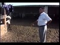 VIDEO DEL GANADERO VICENTE PERIS DIA  A DIA EN LA GANADERIA .....