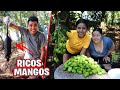 PREPARAMOS RICOS MANGOS EN EL RIO - MIRA LO QUE ENCONTRAMOS