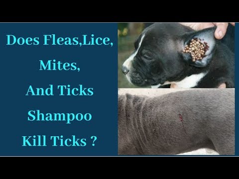 tick and flea removal