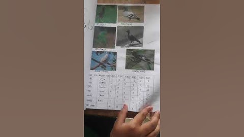 jigyansa project #aasa pakhi saha udiba#jigyansa project#science project