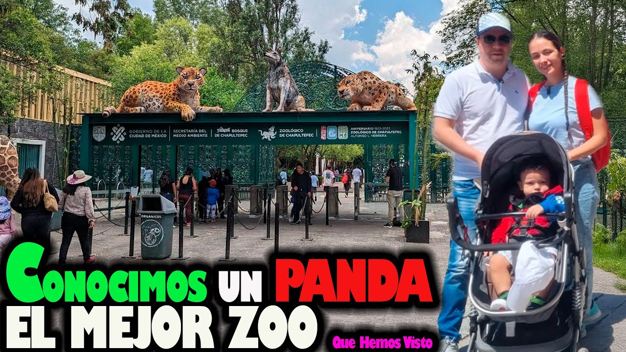 Así fue NUESTRA VISITA al ZOOLOGICO de CHAPULTEPEC | El PANDA es HERMOSO ♥ | CDMX