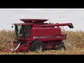 Corn Harvest 2020 Compilation with a Case IH 2366!