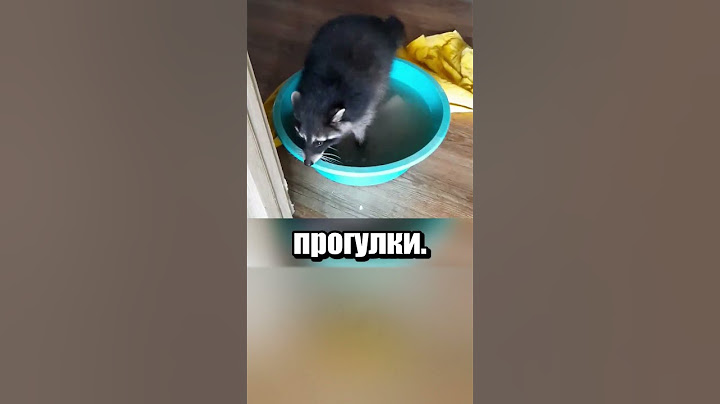 Енот вызвал электриков