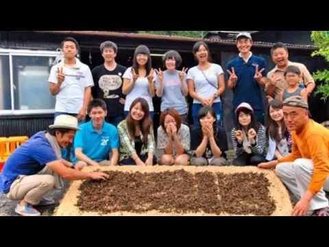 名古屋外国語大学ボランティアサークルLinkS＠インディアンサマー茶業研修体験会　初日