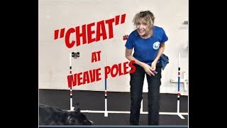 How to 'Cheat' at Beginning Weave Poles
