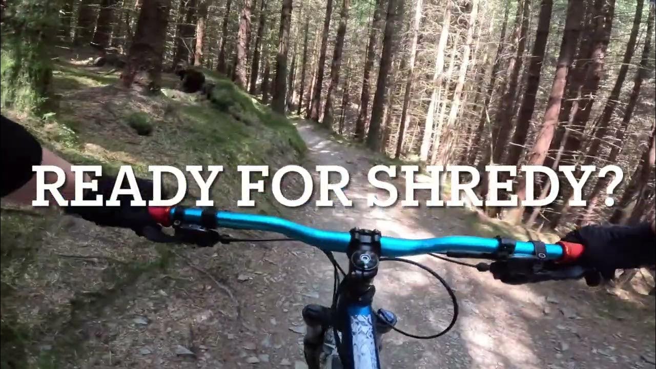 Whinlatter north loop red mountain bike trail YouTube