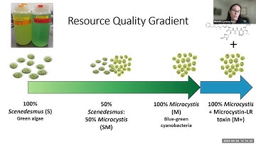 "Resource Quality and Host Genotype Differentially Impact..." | UM EEB Tuesday Seminar