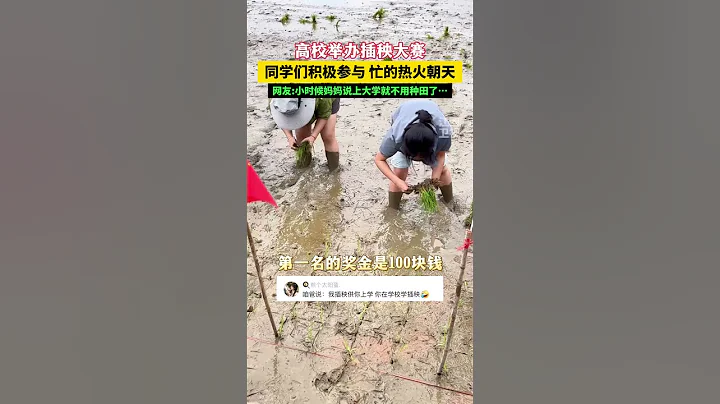 4月23日，湖南長沙。高校舉辦插秧大賽，同學們忙得熱火朝天，網友直呼農業大學真種田啊！ - 天天要聞