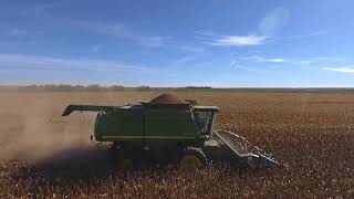 Milo Harvest 2017 drone footage