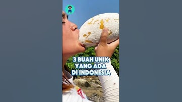 3 Buah Unik yang Ada di Indonesia😱 #buahbuahan #shortvideo #faktaunik