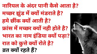 रात में कुत्ते क्यों रोते हैं General Questions Answers - Simple Knowledge