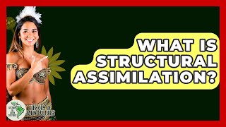 What Is Structural Assimilation - History Of Latin Cultures