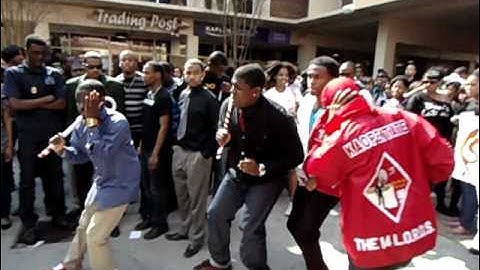 FLORIDA STATE UNIVERSITY (FSU) NPHC STROLLING