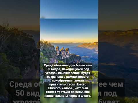 Новый заповедник #goodnews